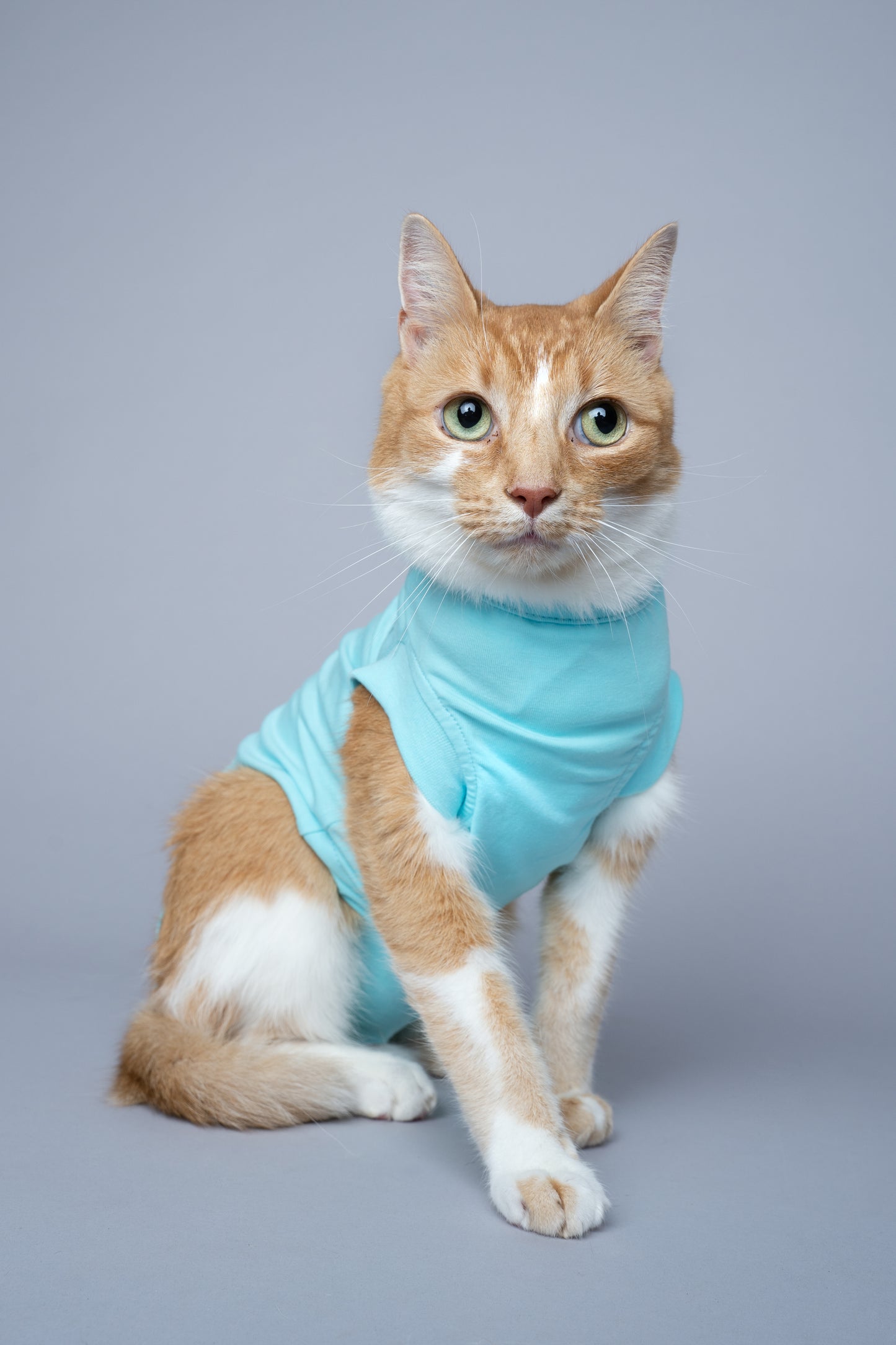 Cat Recovery Suit