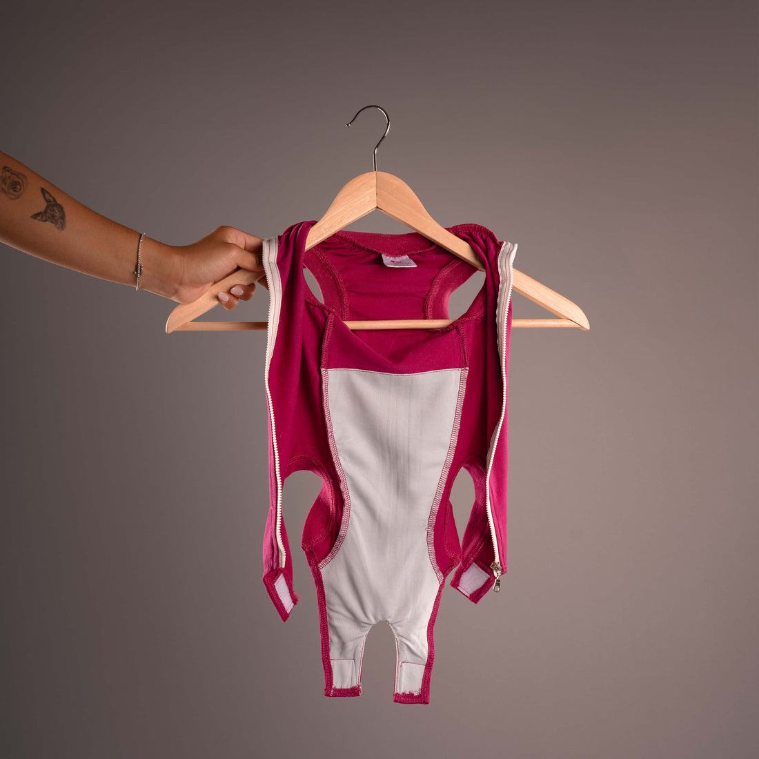 Silver Ion vs Bacteria